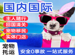 宁波航空托运国际宠物托运 【国